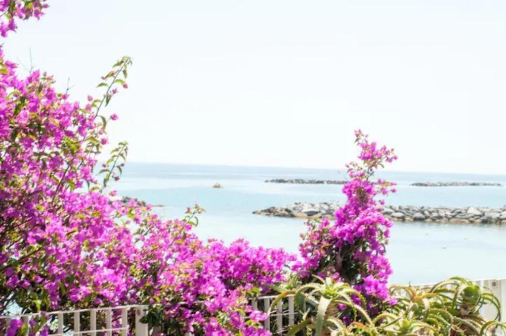 Casa Vacanza Rossella Sanremo Luaran gambar