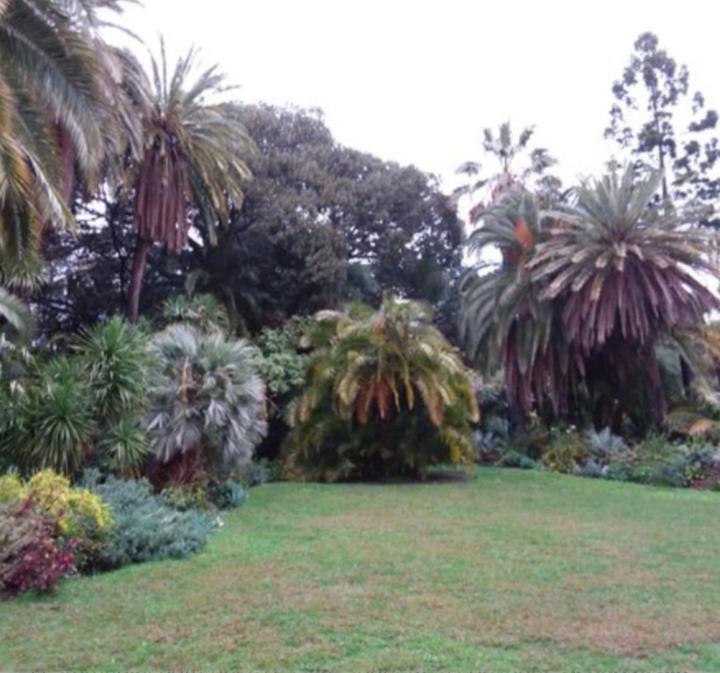 Casa Vacanza Rossella Sanremo Luaran gambar
